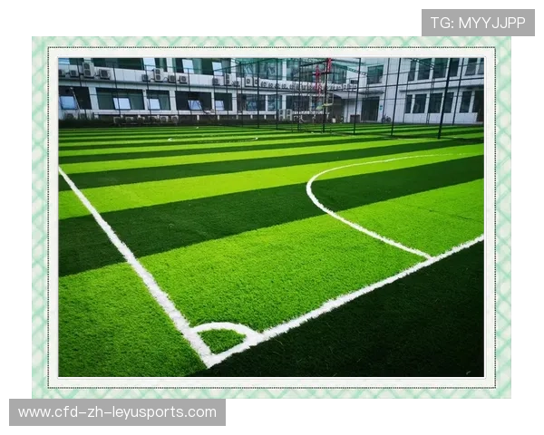 球队引入生态场草皮改善比赛质量